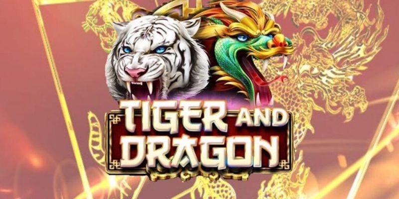 Tính điểm cược theo phương pháp sát nút khi chơi Dragon and Tiger