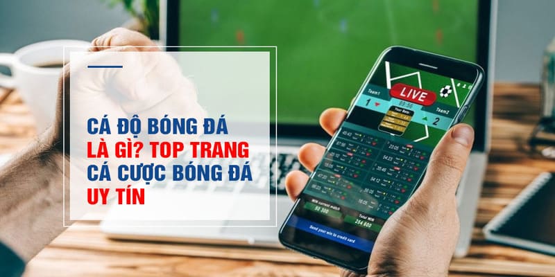 Tại sao nên tạo tài khoản cá độ