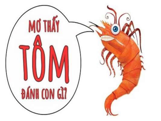 Các con lô may mắn nên đánh khi mơ thấy tôm
