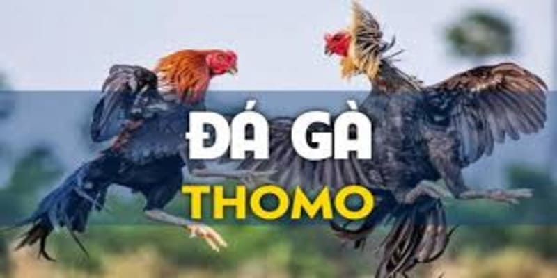 Luật chơi dễ hiểu nhất