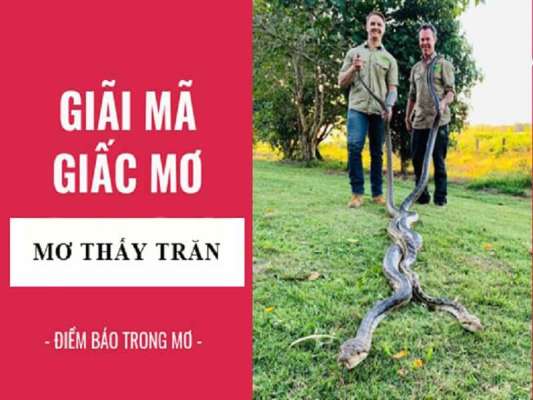 Mơ thấy trăn nên đánh con gì?