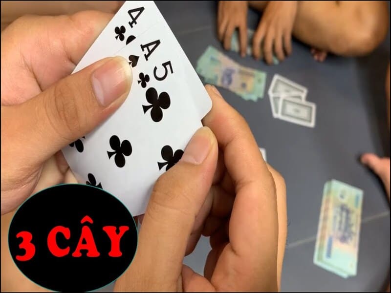 Thế nào là cầm chương 3 cây?