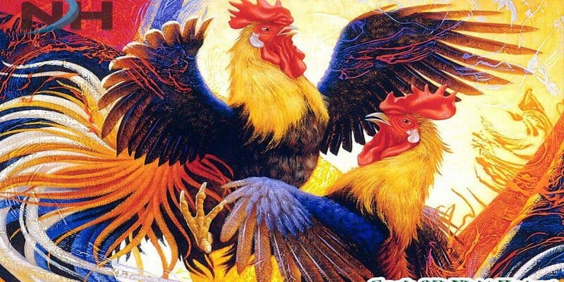 Những cách để xem mắt gà chọi hay
