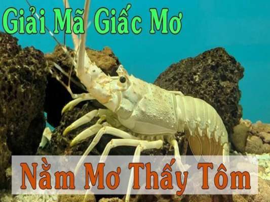 Dự báo điềm tốt hay xấu khi mơ thấy tôm